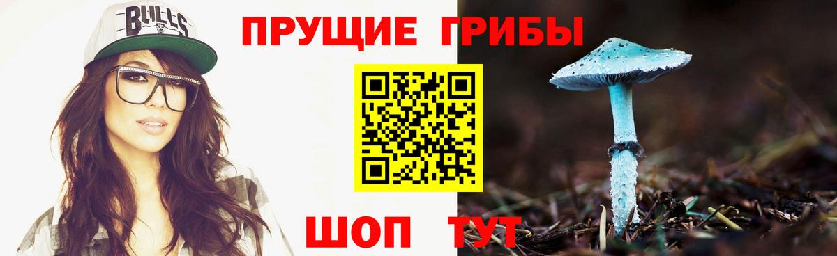 Галлюциногенные грибы мицелий  Псилоцибиновые грибы мицелий  Вход с VPN  Острогожск 